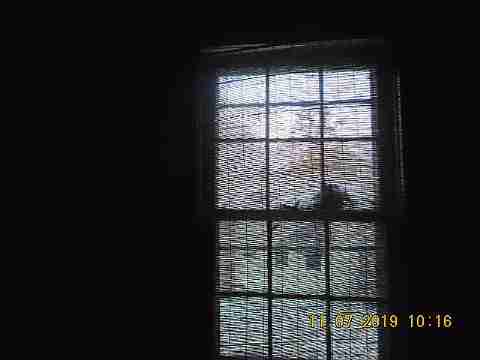 12100 Burt (58)_m.jpg